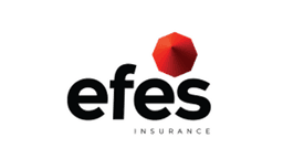 Efes logo